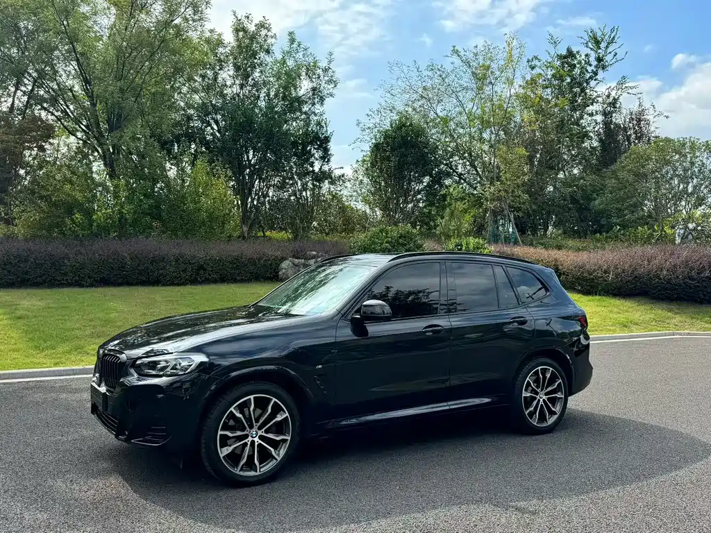 BMW X3 — миниатюра 8