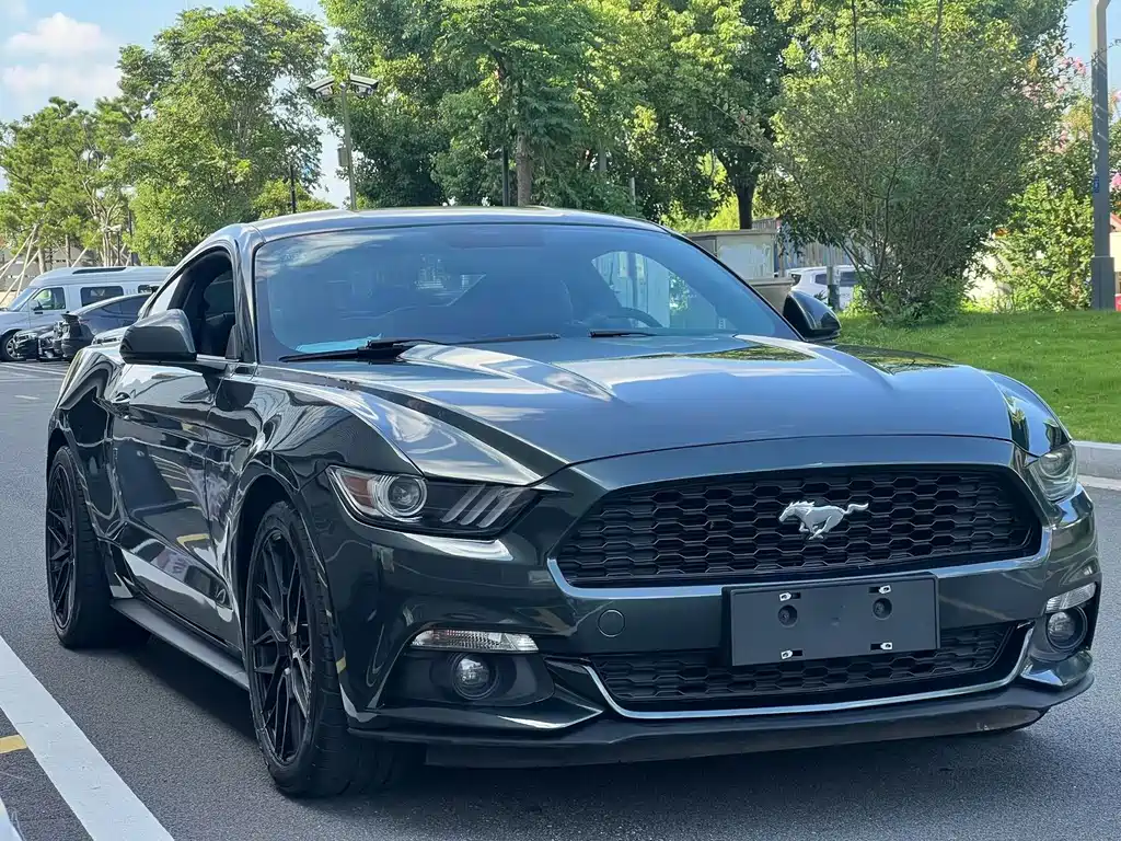 Ford Mustang — миниатюра 3
