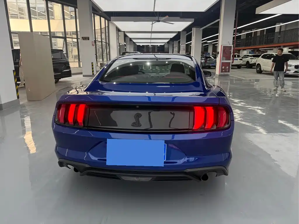 Ford Mustang — миниатюра 14