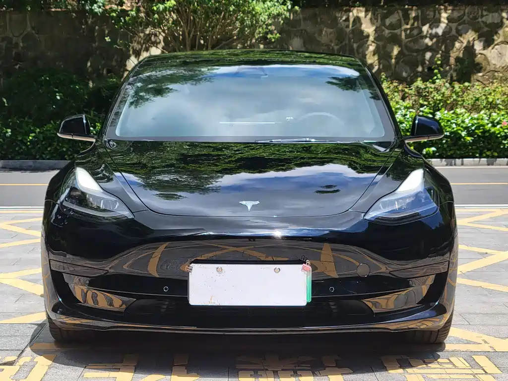 Tesla Model 3 — миниатюра 2