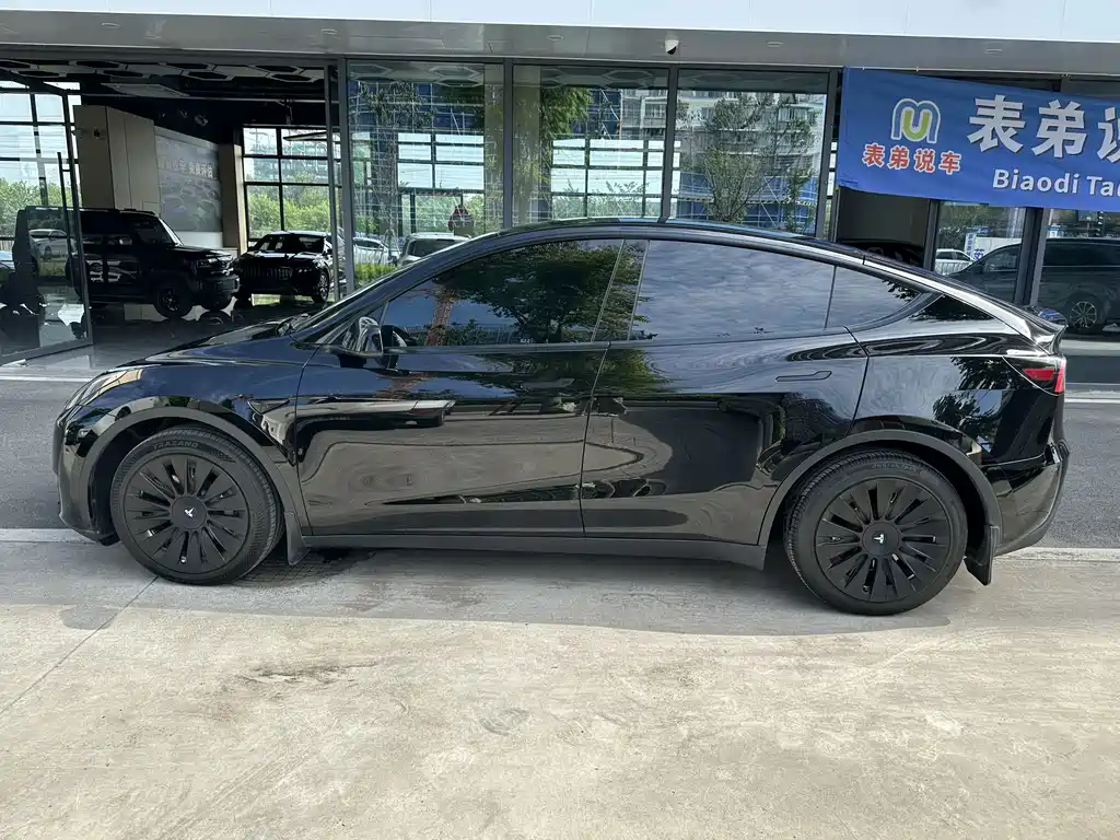 Tesla Model Y — миниатюра 3