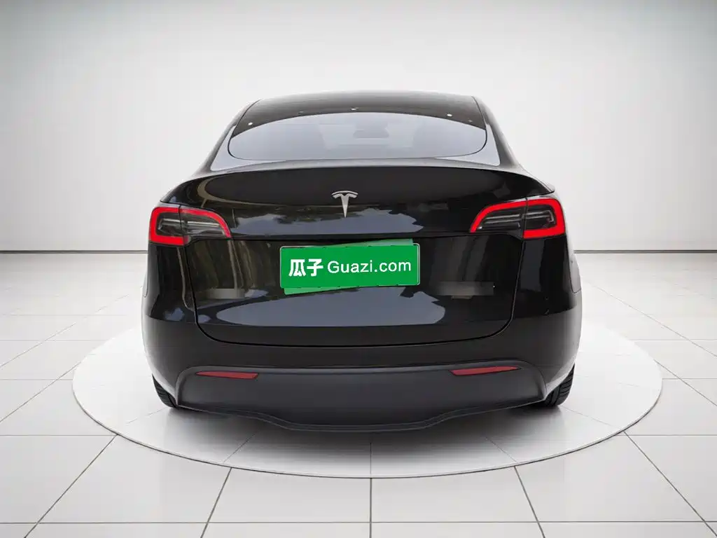 Tesla Model Y — миниатюра 3