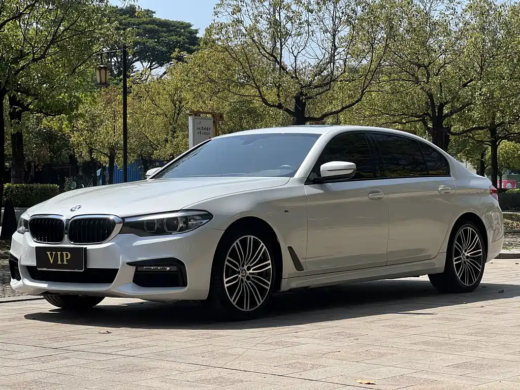 BMW 5 Series 2019
