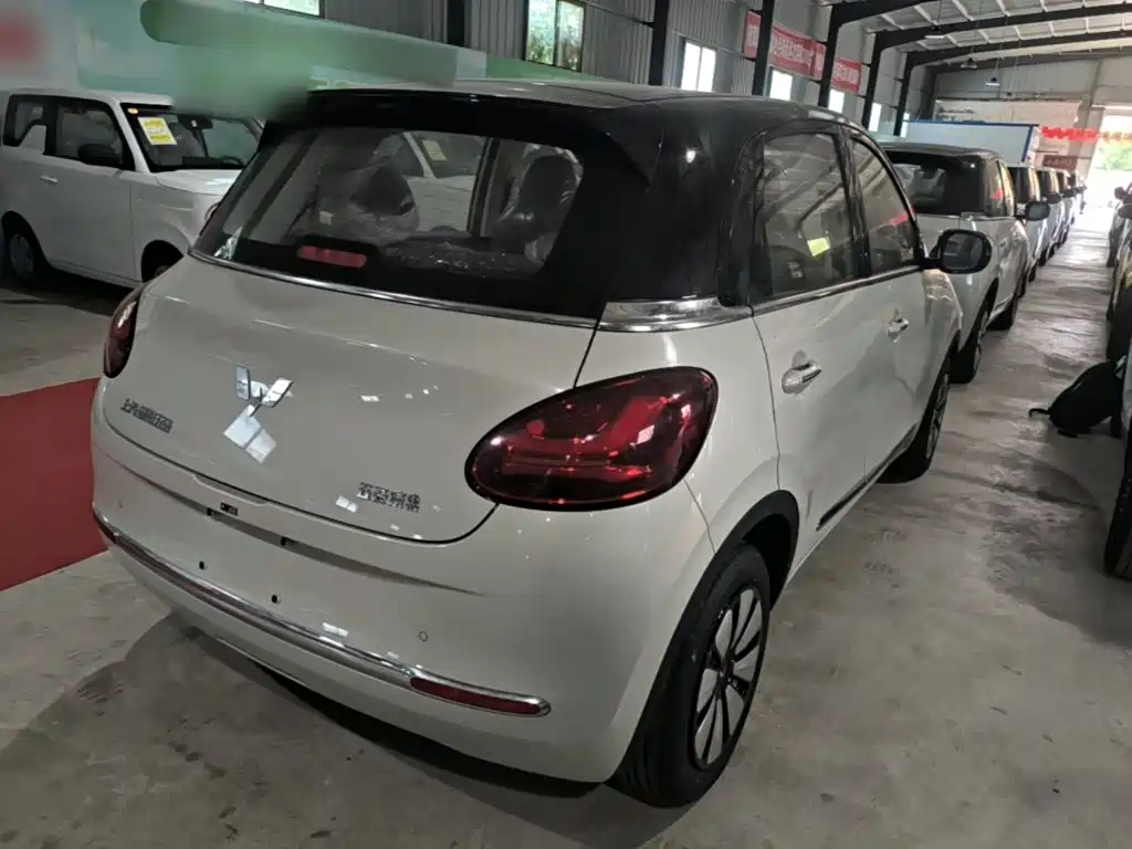 Wuling Binguo 2025 333km Enjoy