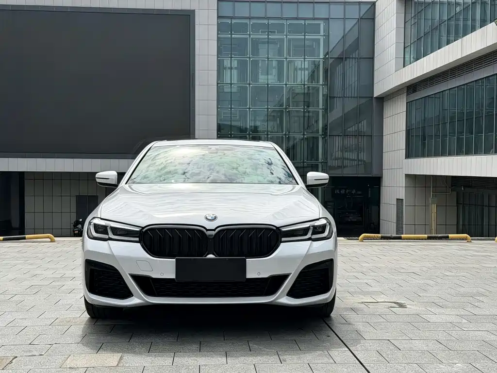 BMW 5 Series — миниатюра 3