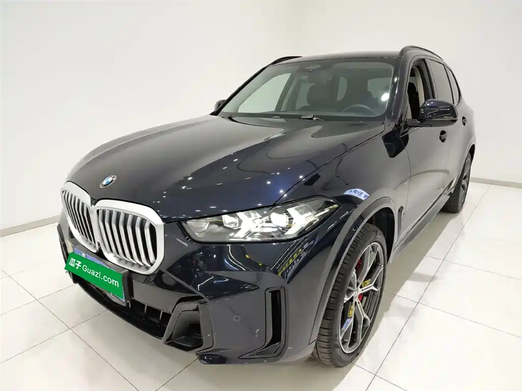 BMW X5 2024