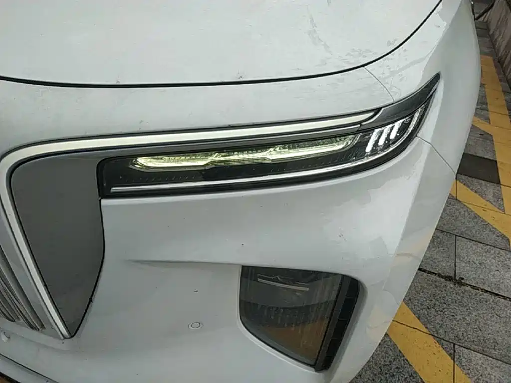 Hongqi Hongqi E-HS9 — миниатюра 24