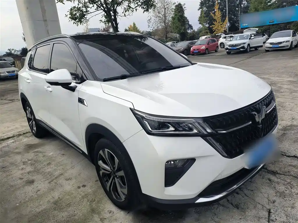 WULING AUTOMOBILE WULING XINGCHEN