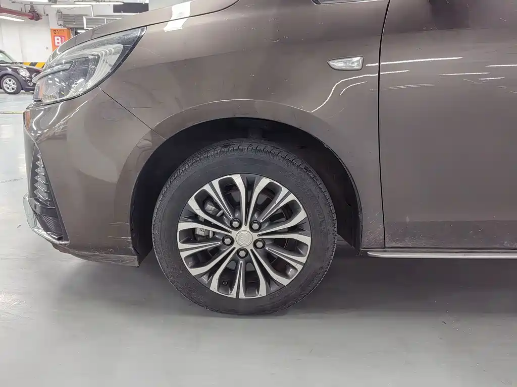 Buick GL8 — миниатюра 13