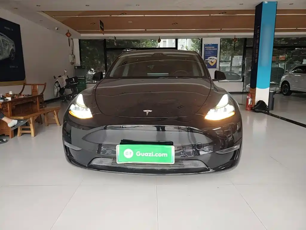 Tesla Model Y — миниатюра 3