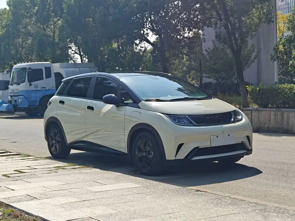 BYD Dolphin — миниатюра 4