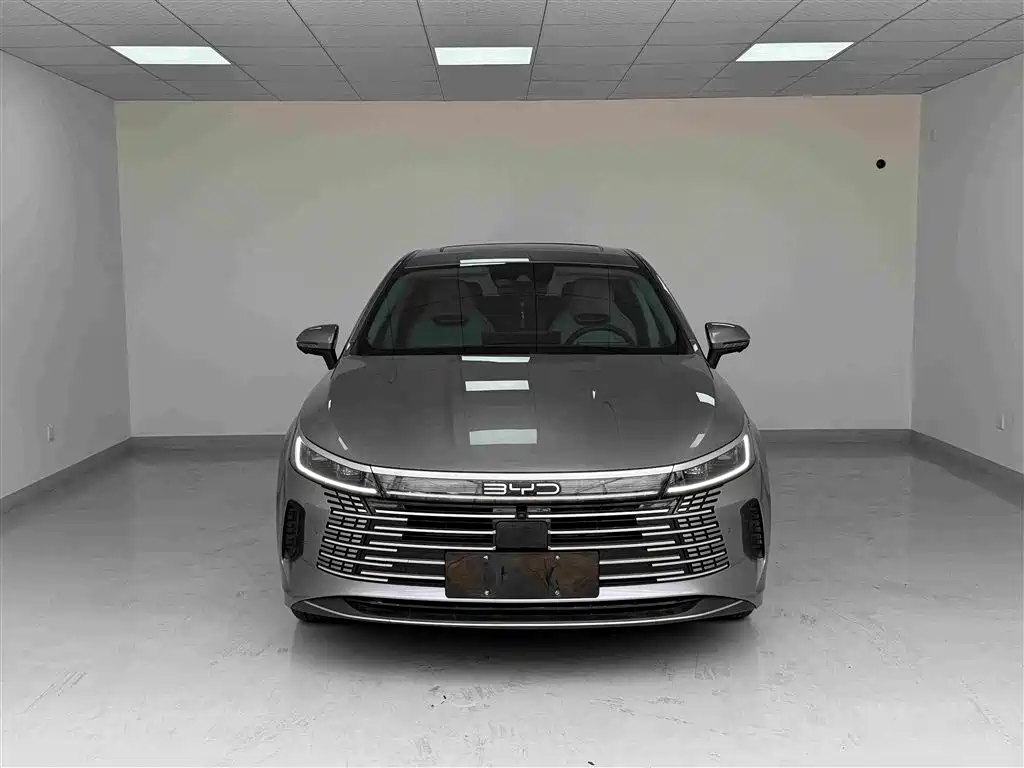 BYD Destroyer 05 — миниатюра 2