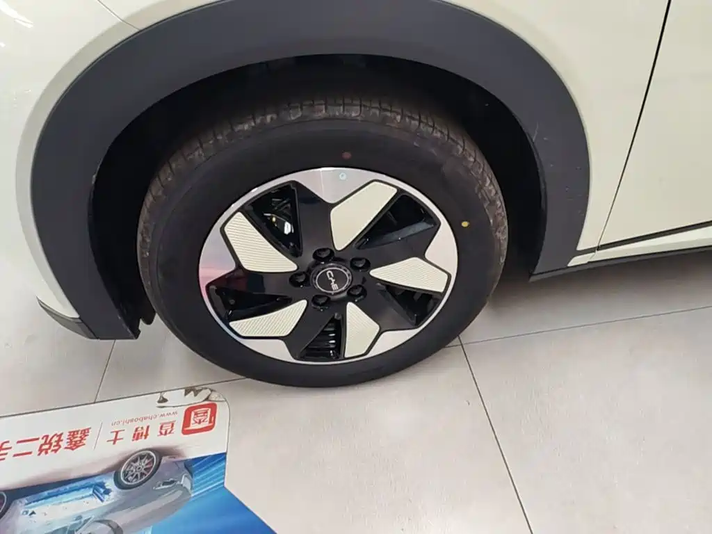 BYD Dolphin — миниатюра 23
