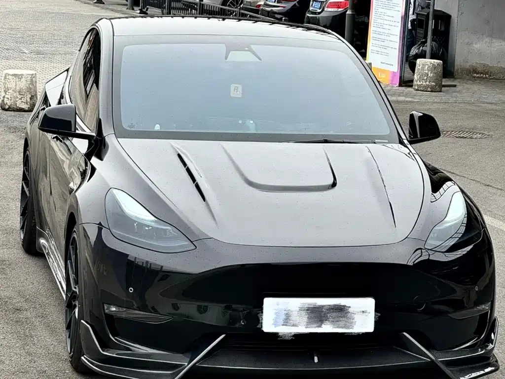 Tesla Model Y — миниатюра 2
