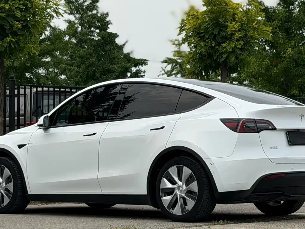 Tesla Model Y — миниатюра 4