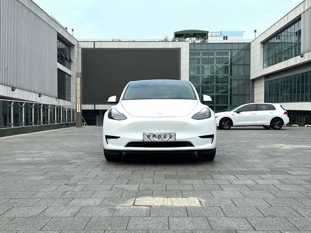 Tesla Model Y — миниатюра 2