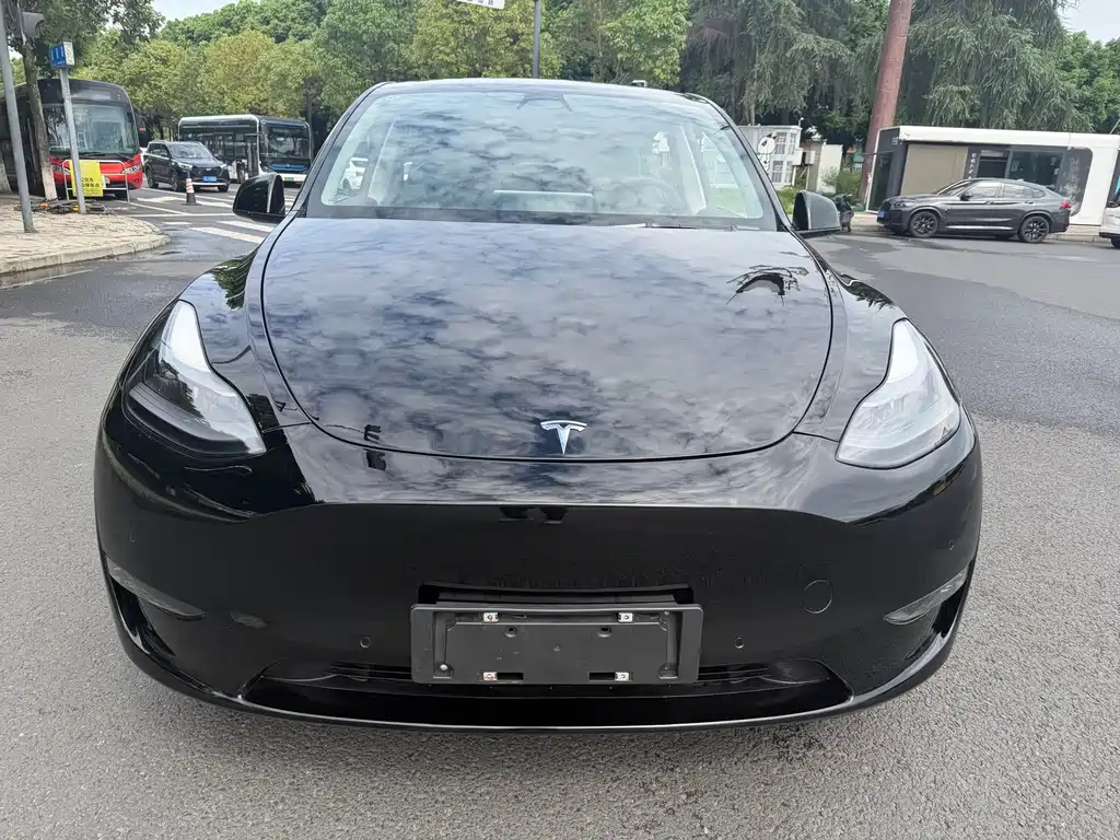 Tesla Model Y — миниатюра 2