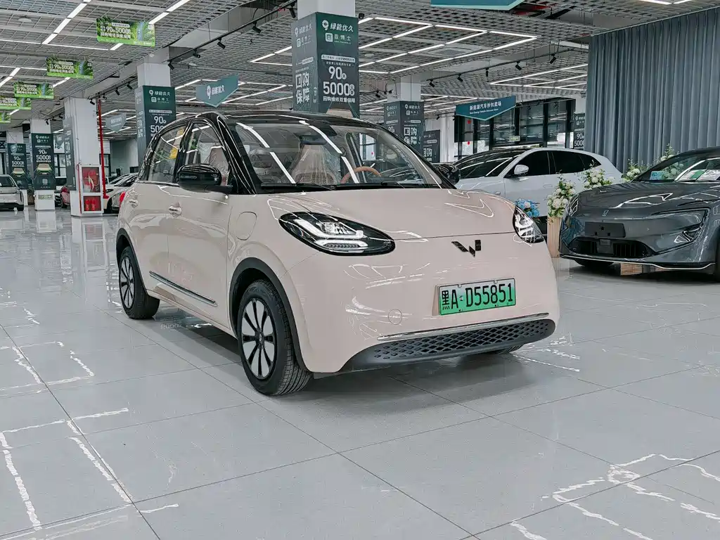Wuling Binguo 2025 333km Enjoy