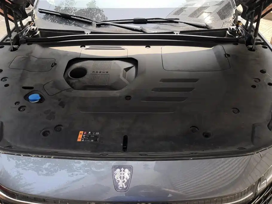 ROEWE RX5 NEW ENERGY