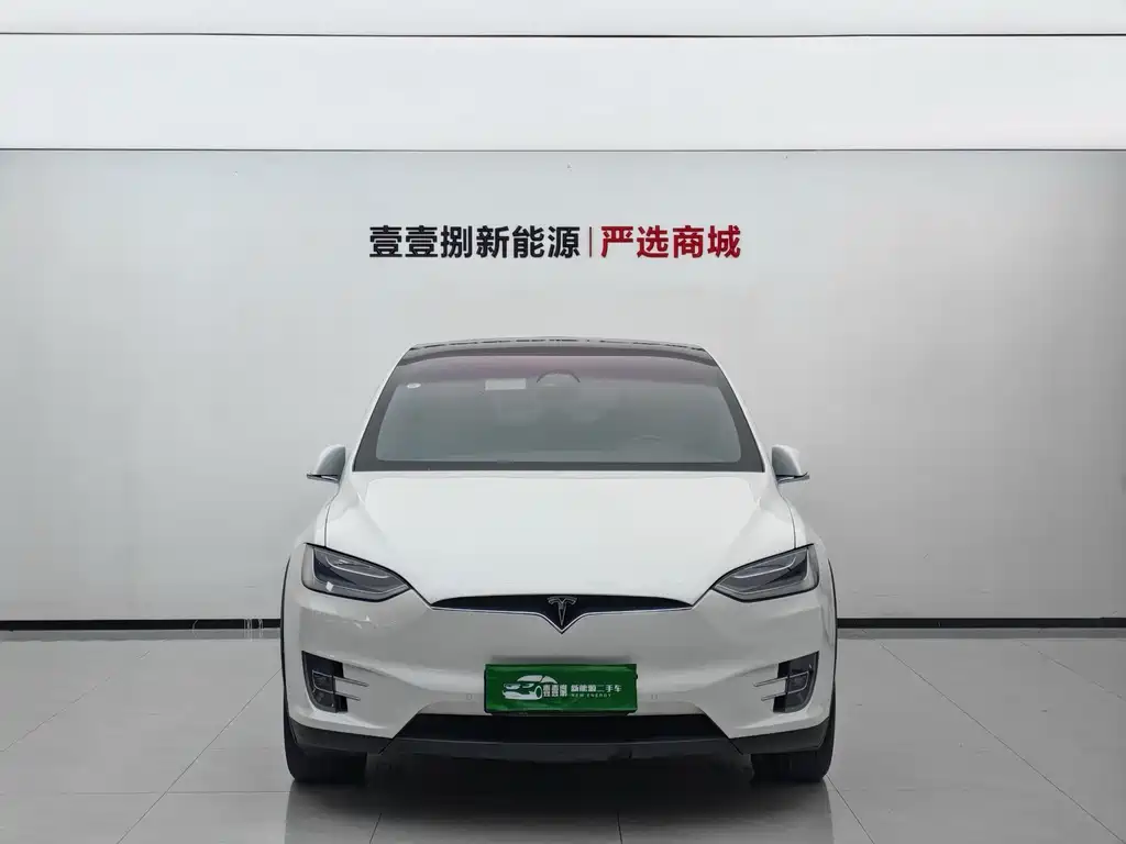 Tesla Model X — миниатюра 2