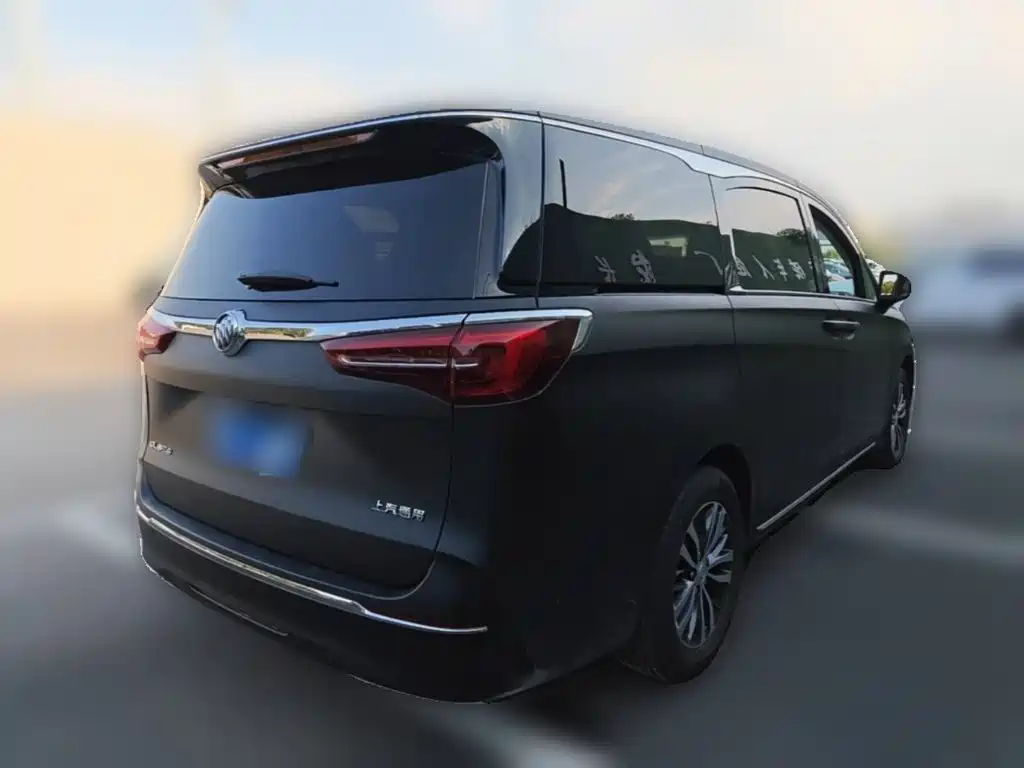 Buick GL8 — миниатюра 10