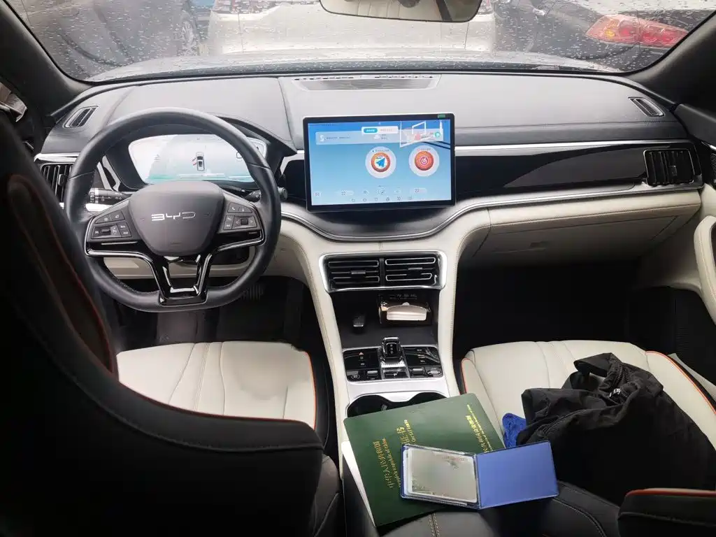 BYD PLUS New Energy — миниатюра 13