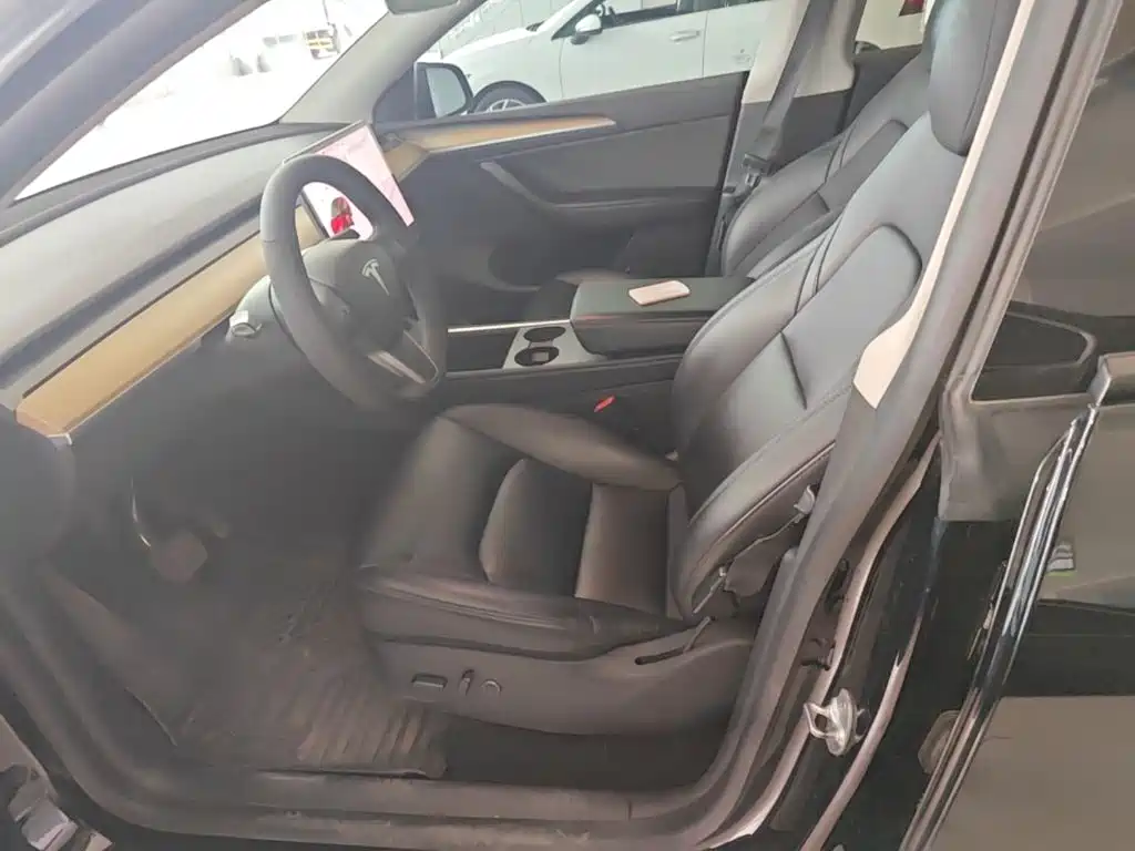 Tesla Model Y — миниатюра 15