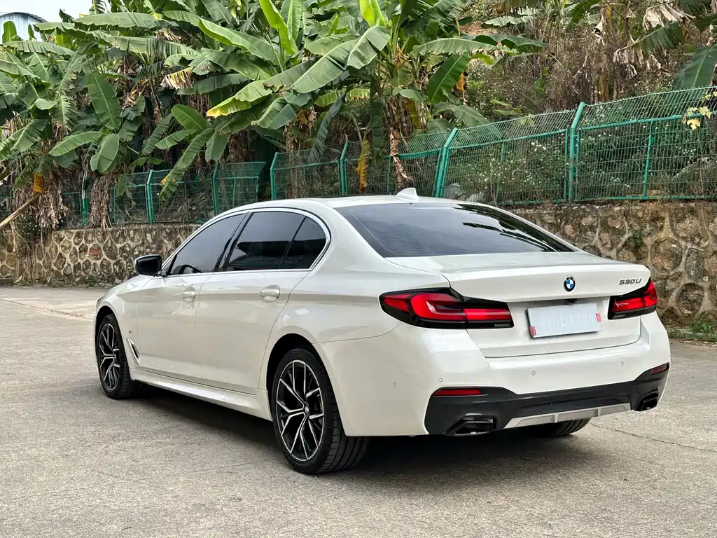 BMW 5 Series — миниатюра 4