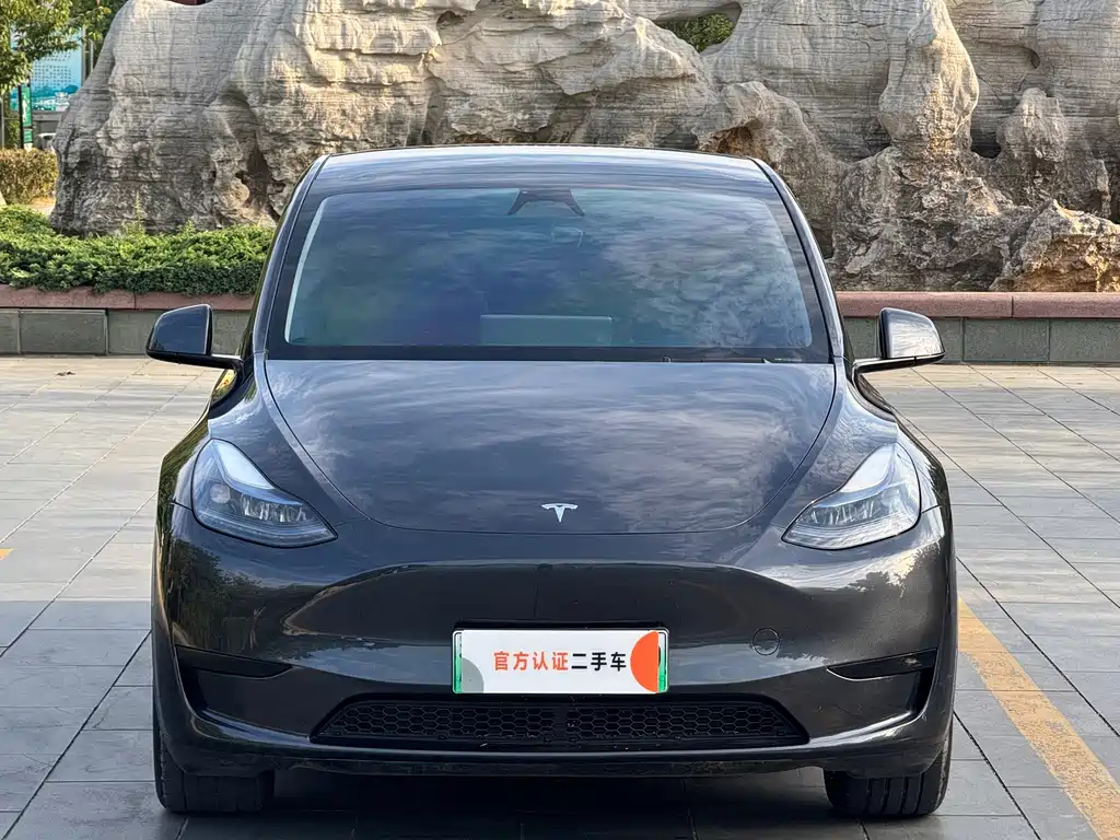 Tesla Model Y — миниатюра 2