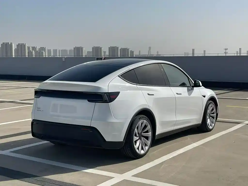 Tesla Model Y — фотографии объявления, Фото 10