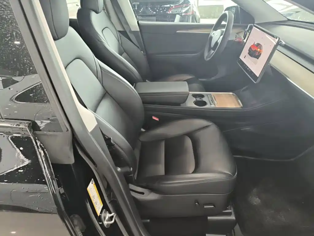 Tesla Model Y — миниатюра 25