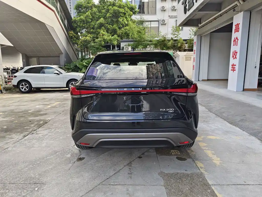 Lexus RX — миниатюра 8