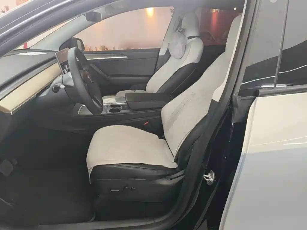 Tesla Model Y — миниатюра 15