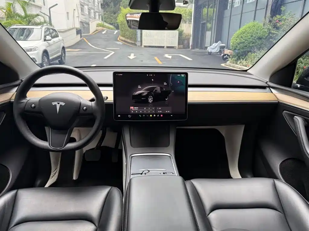 Tesla Model Y — миниатюра 3