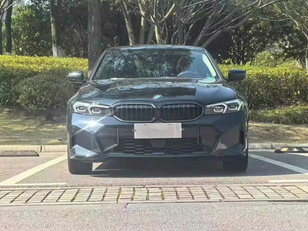 BMW 3 Series — миниатюра 2