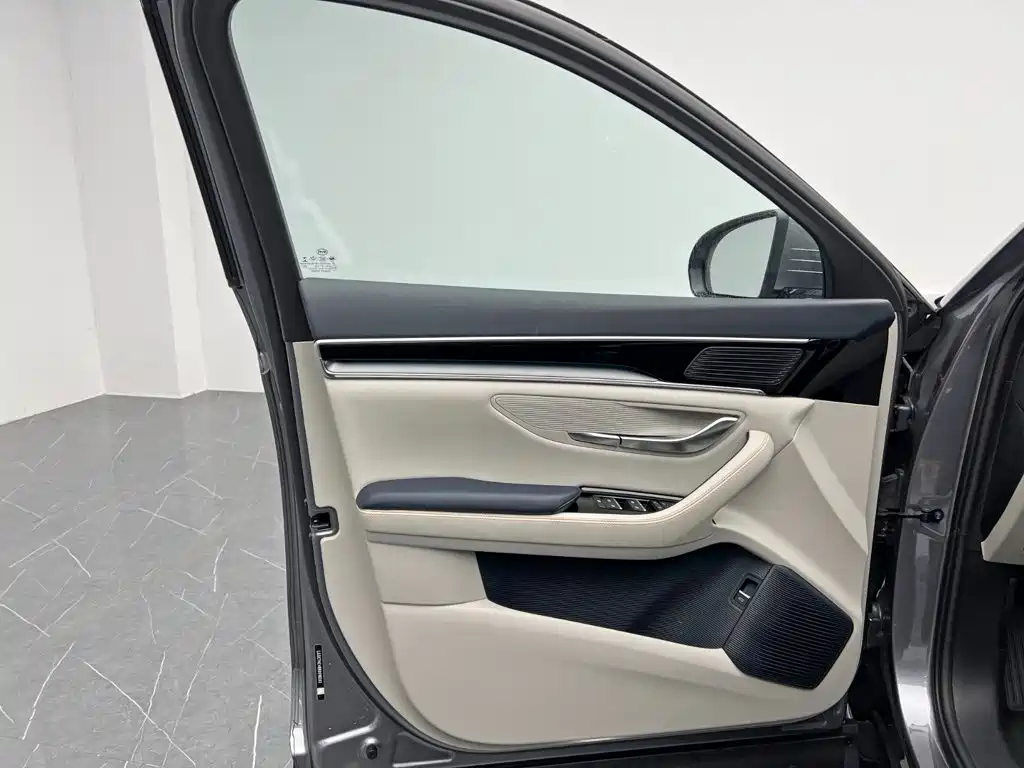 BYD PLUS New Energy — миниатюра 12