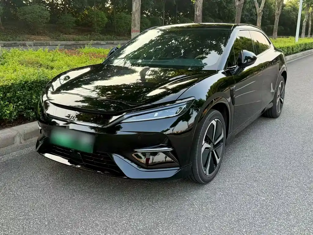 BYD L EV