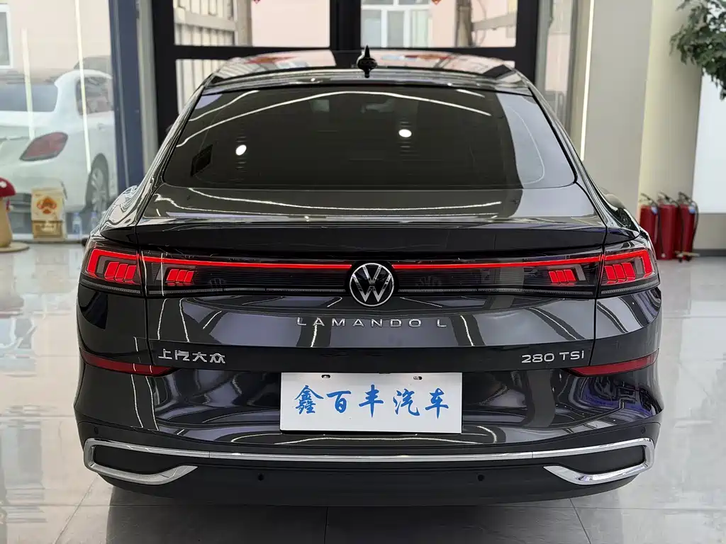 Volkswagen Lamando — миниатюра 9