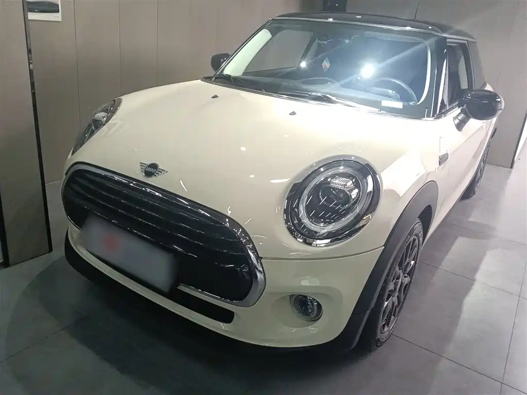 Mini Mini 2021