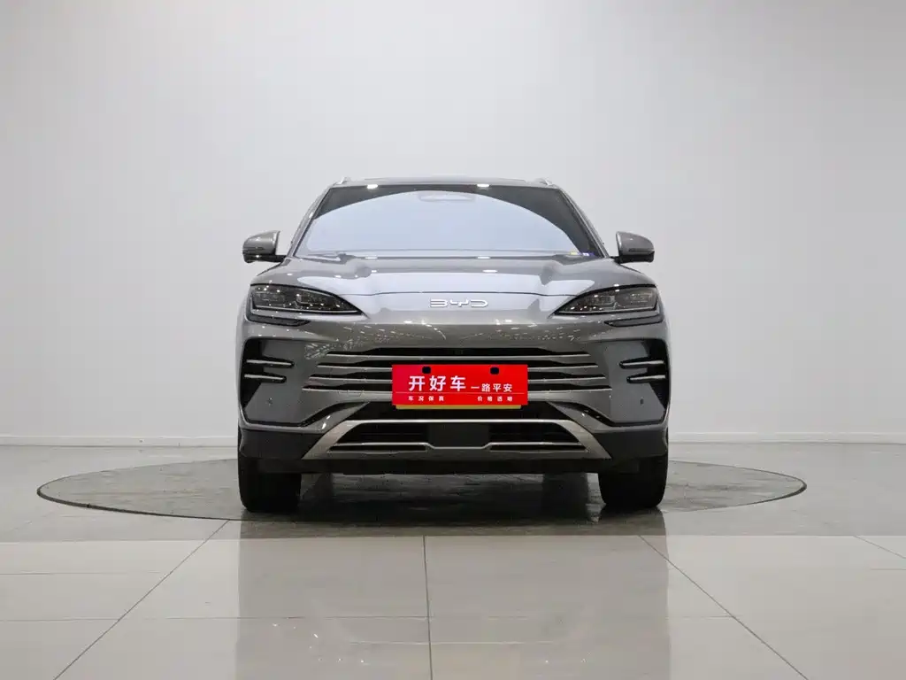 BYD PLUS New Energy — миниатюра 2