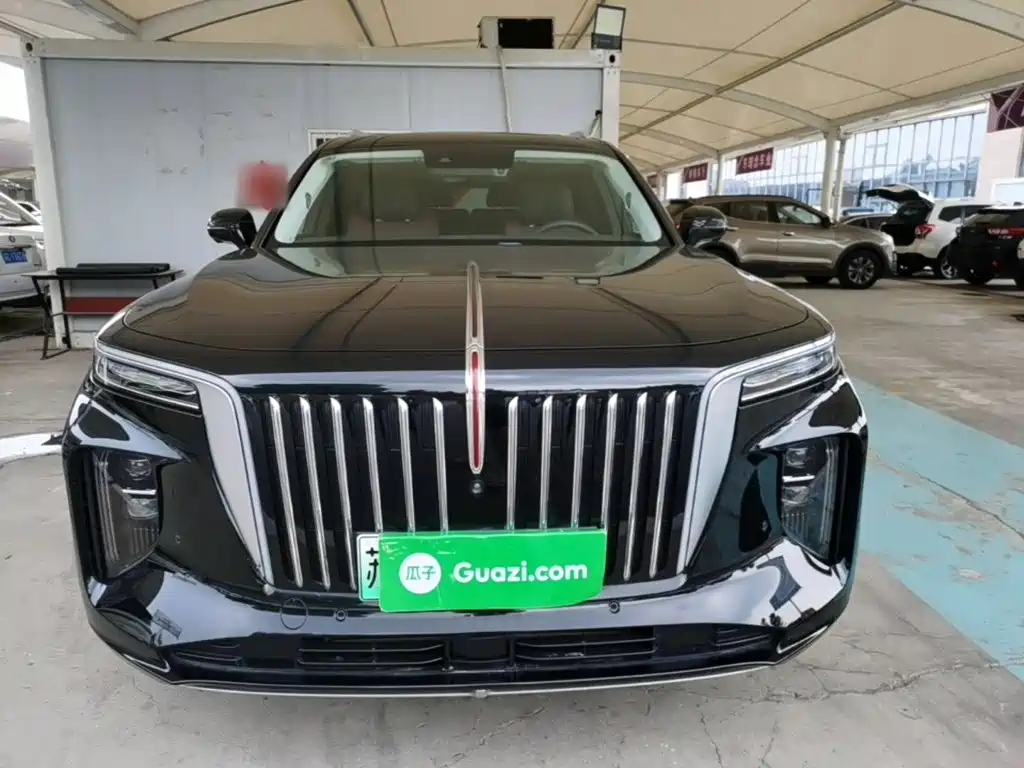 Hongqi Hongqi E-HS9 — миниатюра 3