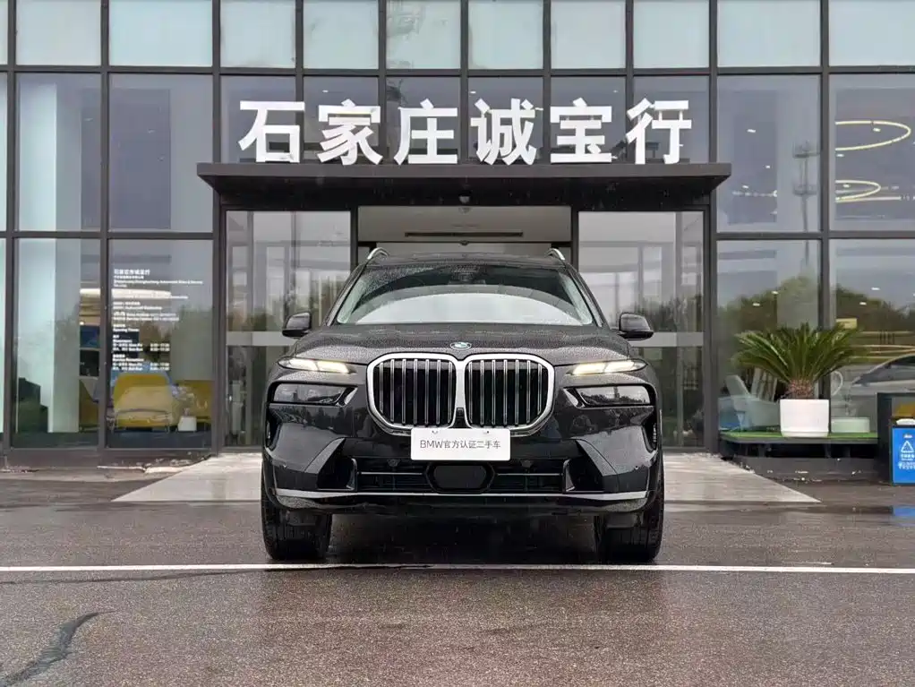 BMW X7 — миниатюра 3