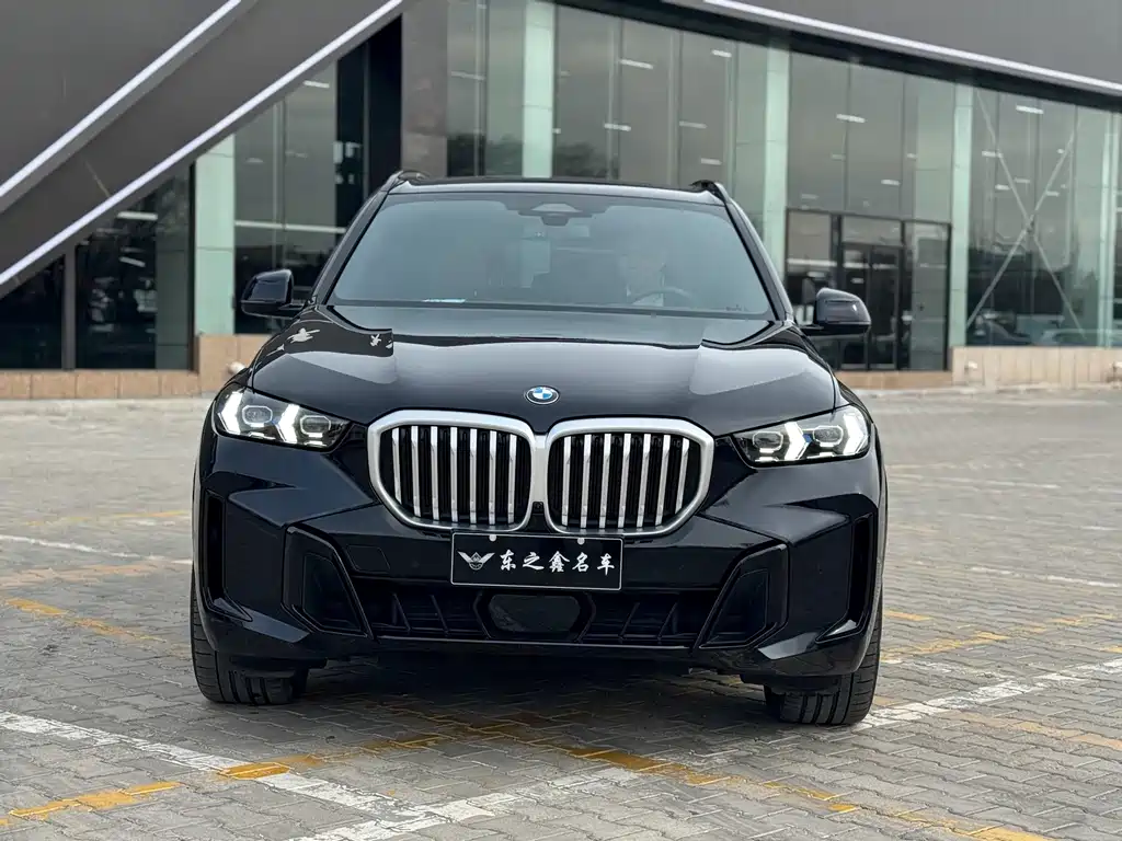 BMW X5 — миниатюра 3