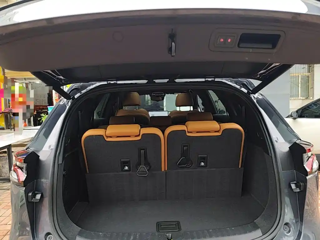 BYD Tang New Energy — миниатюра 19