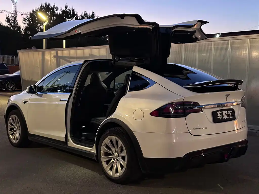 Tesla Model X — миниатюра 24