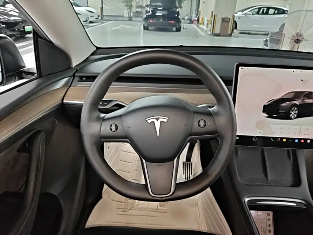 Tesla Model Y — миниатюра 11