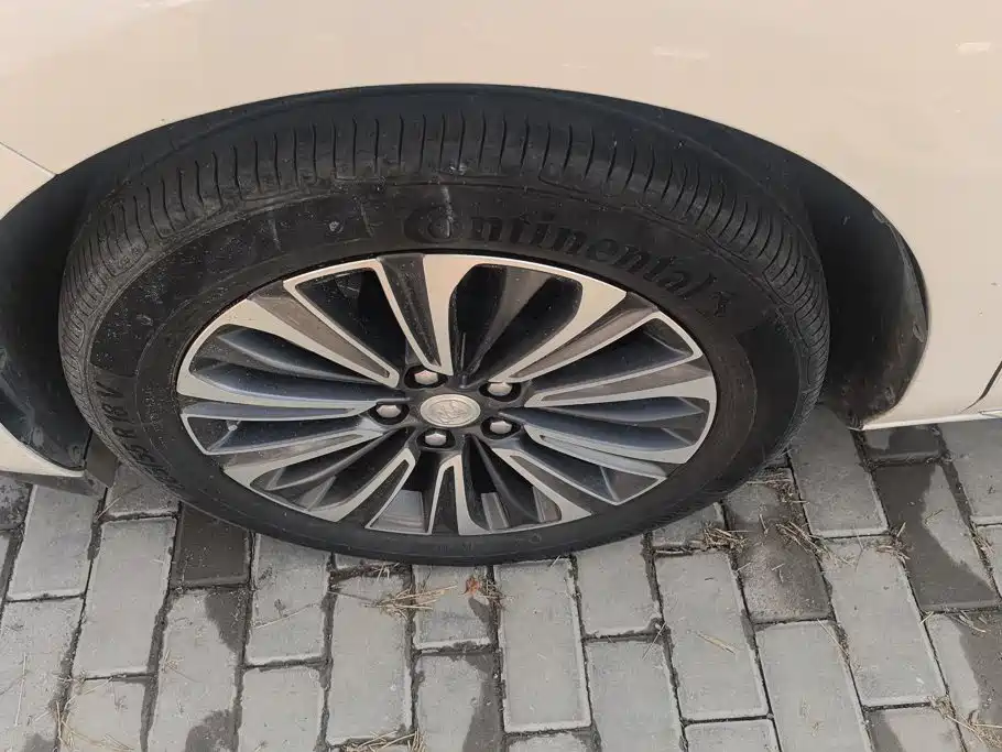 Buick GL8 — миниатюра 6