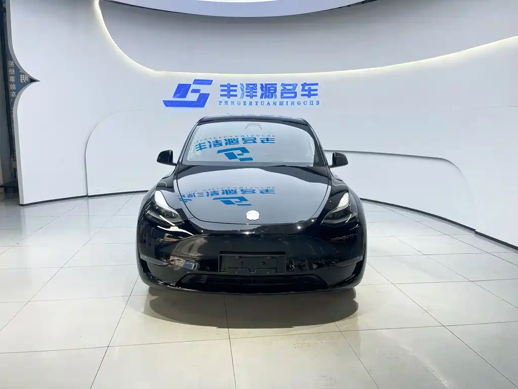 Tesla Model Y — миниатюра 2