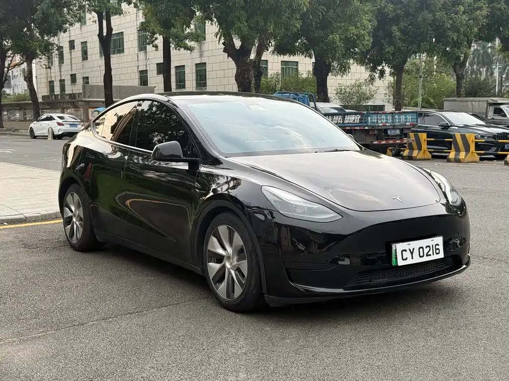 Tesla Model Y — миниатюра 3