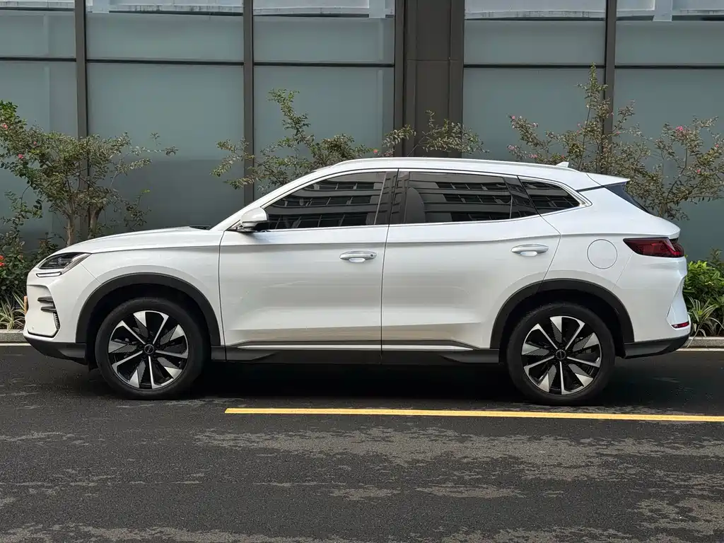 BYD PLUS New Energy — миниатюра 7